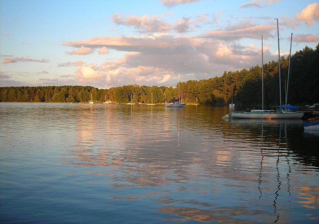 By Beemwej - Own work, CC BY-SA 3.0, https://commons.wikimedia.org/w/index.php?curid=11220665